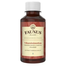 Tinctura pentru imunitate Vitaminizantus, 200ml, Faunus Plant