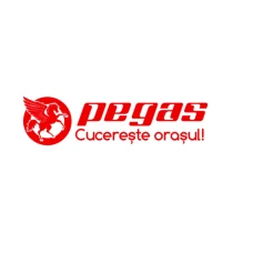 Casca Pegas Robita, material ABS, ventilatie 11 gauri, reglaj circumferinta cap, marime M (57-59), Alb