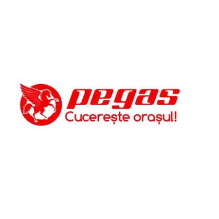 Casca Pegas Robita, material ABS, ventilatie 11 gauri, reglaj circumferinta cap, marime M (57-59), Alb