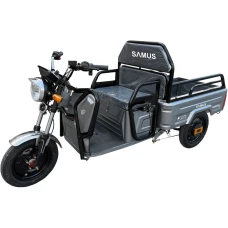 Samus Triciclu electric cargo Samus Ranger-25-1.1-72V32 Silver, 1000W, , Viteza Maxima 25 km/h, Acumulator 72 (6 x 12V)/ 32 aH, Tip baterie plumb acid, Autonomie 45-60 km, Argintiu