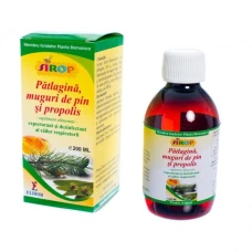 Sirop patlagina-pin-propolis, 200mililitri, Elidor