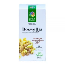 Boswellia, 60capsule, Steaua Divina