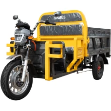 Samus Triciclu electric cargo Samus Houston-25-1.5-72V45 Yellow Dark Silver, 1500W, Putere maxima motor la 3600 rpm 3000W, Putere maxima de varf motor la 3300 rpm 3300W, Viteza Maxima 25 km/h, Acumulator 72 (6 x 12V)/ 45 aH, Argintiu inchis-Galben