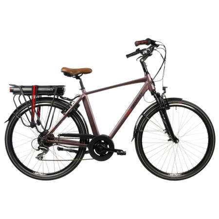 Bicicleta Electrica Devron 28221 - 28 Inch, XL, Maro