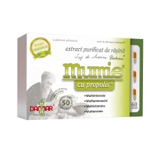 Extract purificat de rasina Mumie cu Propolis, 60 capsule, Damar