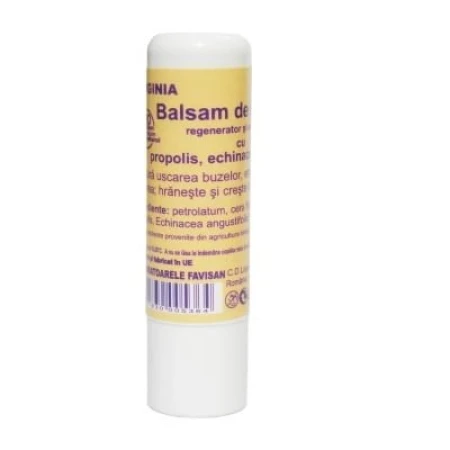Balsam de buze, 5ml, Favisan