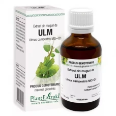 Extract din muguri de ulm, 50ml, PlantExtrakt