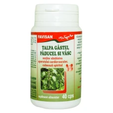 Talpa gastii paducel si vasc,Favisan,40 capsule