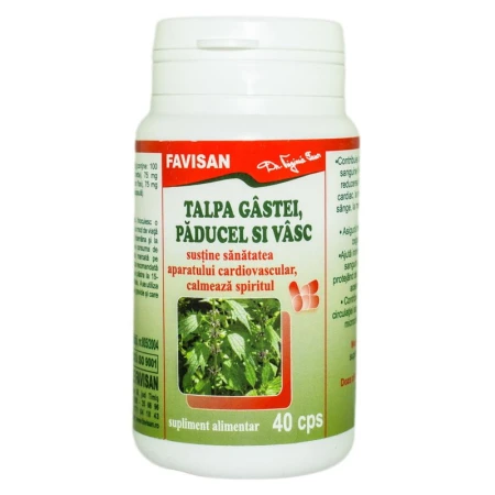 Talpa gastii paducel si vasc,Favisan,40 capsule