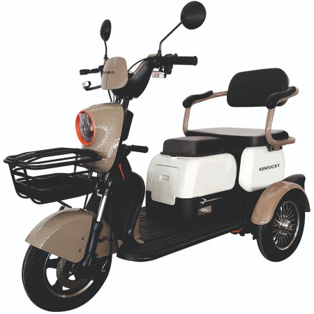 Samus Triciclu electric Samus Kentucky-3R1-10T1000-60V20-Brown-White, 1000W,  Viteza Maxima 25 km/h, Acumulator 60(512) V/ 20 Ah, Tip baterie plumb acid, Autonomie 40-60 Km, Alb-Maro