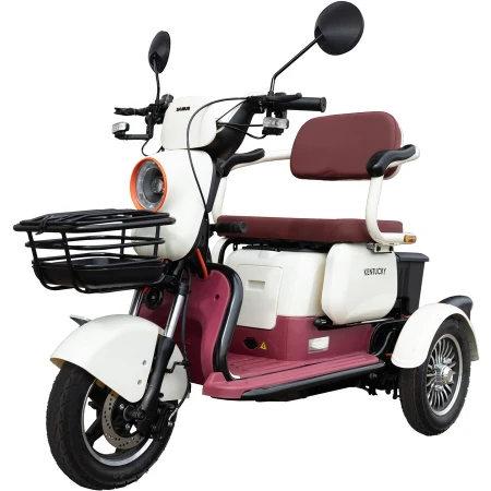 Samus Triciclu electric Samus Kentucky-3R1-10T1000-60V20-Beige-Burgundy, 1000W,  Viteza Maxima 25 km/h, Acumulator 60(512) V/ 20 Ah, Tip baterie plumb acid, Autonomie 40-60 Km,Bej-Burgundy