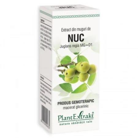 Extract din muguri de nuc, 50ml, PlantExtrakt