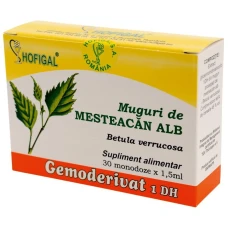 Gemoderivat din mladite si muguri de mesteacan alb, 30monodoze, Hofigal