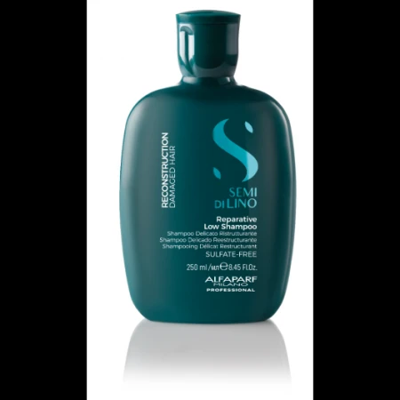 Sampon Reconstruction Reparative, 250ml, Alfaparf