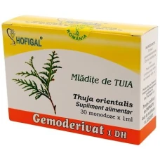 Gemoderivat din mladite si muguri de Tuia, 30monodoze, Hofigal