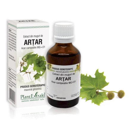 Extract din muguri de artar, 50ml, PlantExtrakt