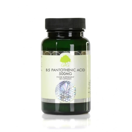 Vitamina B5 Acid Pantotenic 500mg, 60 capsule, G&G