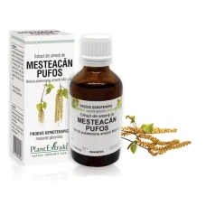 Extract din seva de mesteacan, 50ml, PlantExtrakt