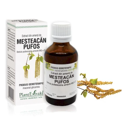 Extract din seva de mesteacan, 50ml, PlantExtrakt