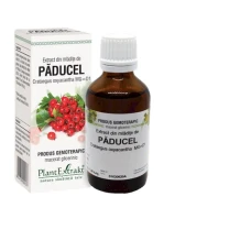 Extract din mladite de paducel, 50ml, PlantExtrakt
