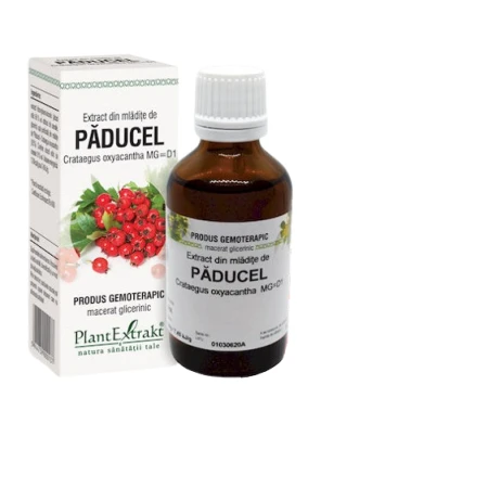 Extract din mladite de paducel, 50ml, PlantExtrakt