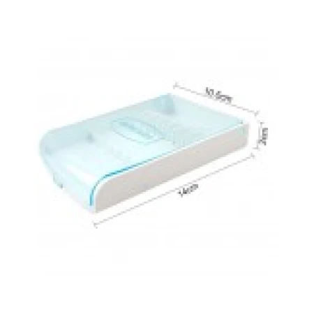 Cutie Depozitare Varfuri, Waterpik, Waterpulse, TM-300, pentru Dus Bucal, 6x Locuri