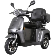 Samus Triciclu electric, tricicleta, Samus Arizona-3R1-10T1000-60V20 Silver, 10 inch, motor 1000 W, acumulator 60V 20Ah, viteza maxima 25 km/h, autonomie 50 km, sarcina maxima 105 kg, Argintiu