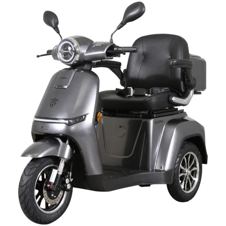 Samus Triciclu electric, tricicleta, Samus Arizona-3R1-10T1000-60V20 Silver, 10 inch, motor 1000 W, acumulator 60V 20Ah, viteza maxima 25 km/h, autonomie 50 km, sarcina maxima 105 kg, Argintiu