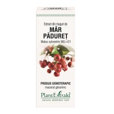 Extract din muguri de Mar Paduret, 50ml, PlantExtrakt