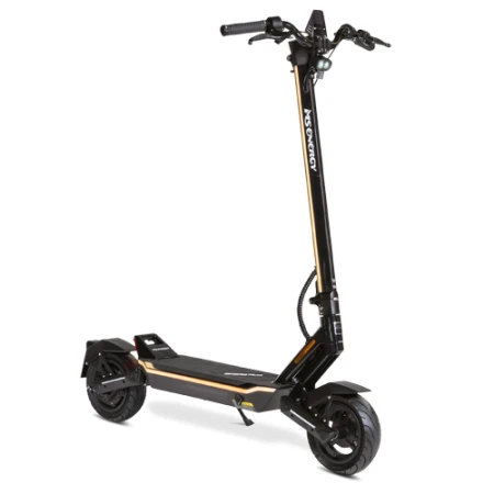 Trotineta electrica MS ENERGY e-romobil FLARE, Viteza maxima 45km/h, Autonomie maxima 60Km, Motor 600W, acumulator 48V 15Ah, Roti 10inch (Negru/Gri)