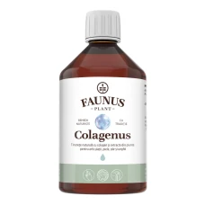 Colagen lichid pentru articulatii si piele Colagenus, 500ml, Faunus Plant