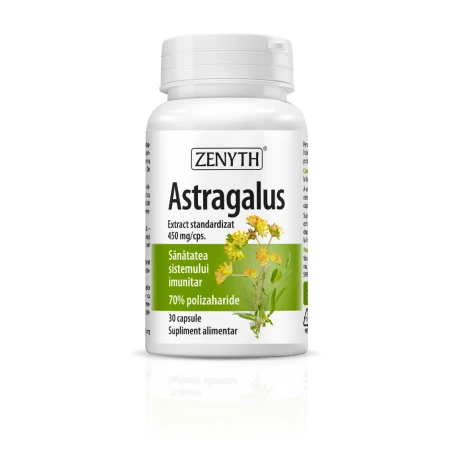 Astragalus, 30 capsule, Zenyth